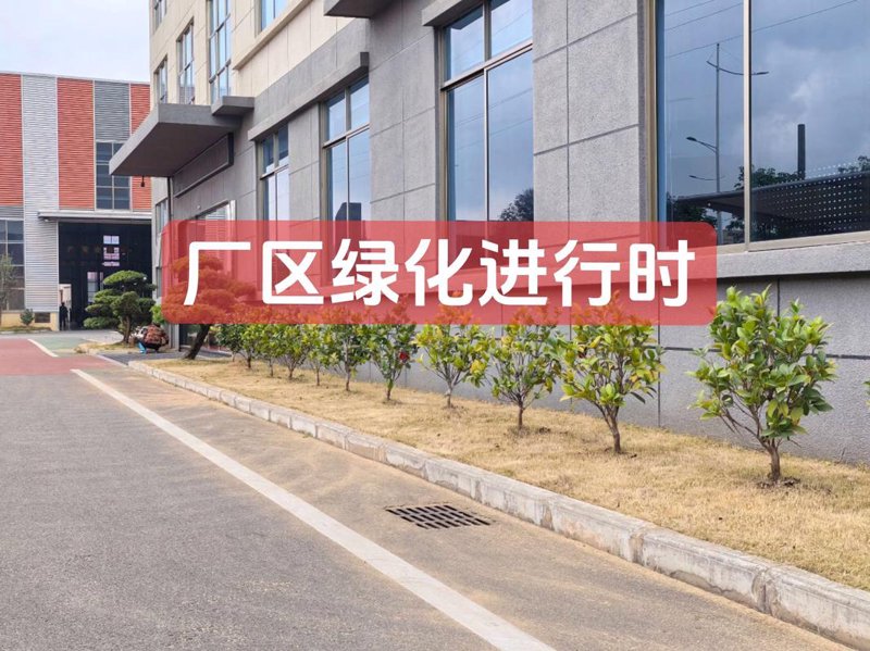 园林绿化工程公司的现状与趋势