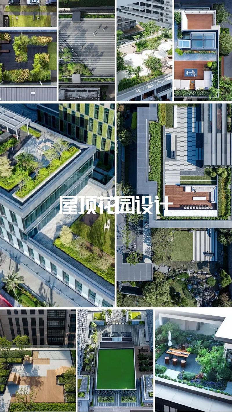 苏州园林绿化：江南之美，绿意盎然