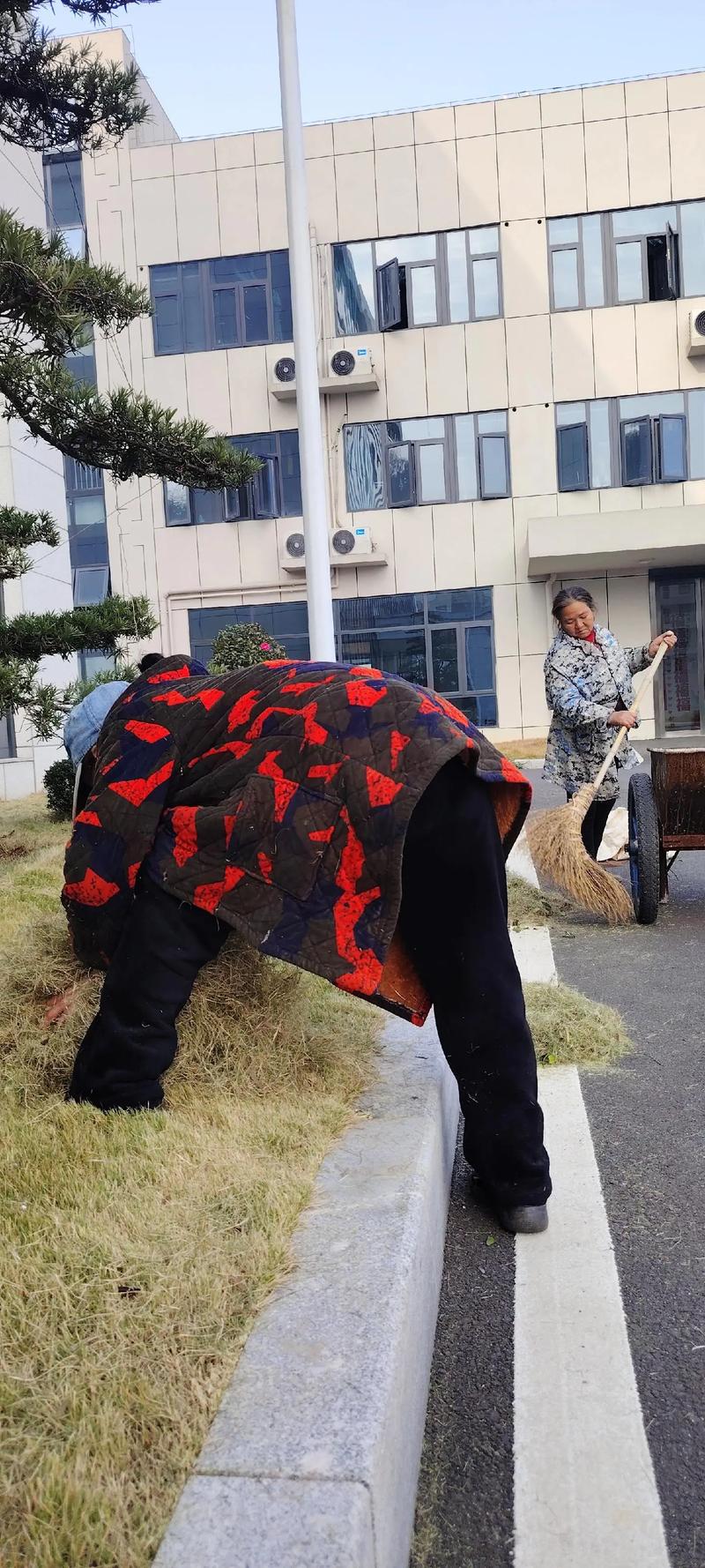园林绿化工程公司：在城市中种下生命的绿意