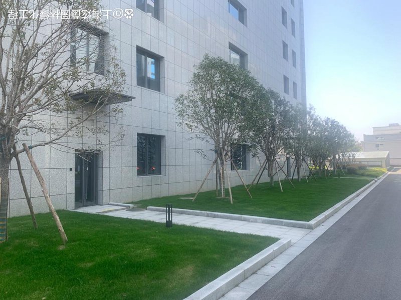 别墅庭院设计潮流：打造梦想中的私人绿洲